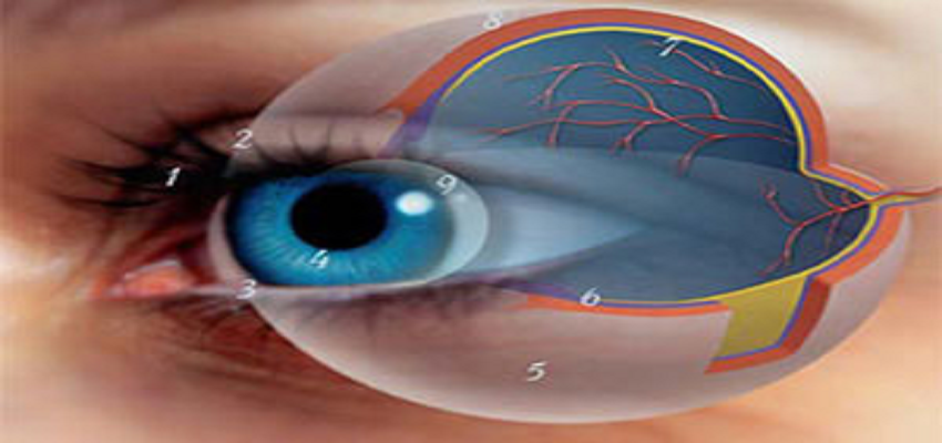 Glaucoma e atividade física: esteja atento às alterações